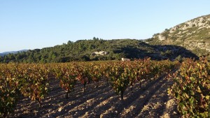 Domaine Bertrand Bergé