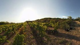 Domaine Pierre Cros