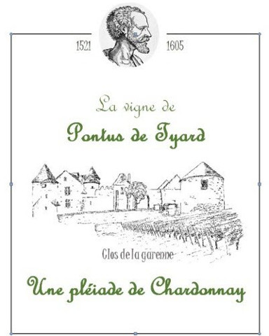 Château de Pontus de Tyard