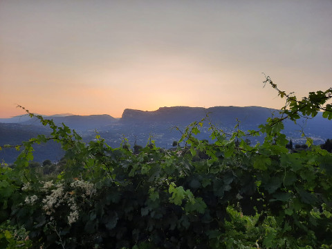 Domaine de Vinceline