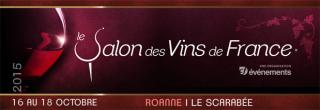 banner-roanne-2015_resized.jpg