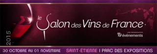 banner-saint-etienne-2015_resized.jpg