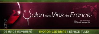 banner-thonon-les-bains-2015_resized.jpg